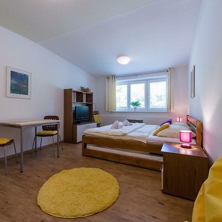 Apartmán Lipno 20 Lipno nad Vltavou Kültér fotó