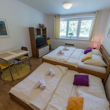 Apartmán Lipno 20 Lipno nad Vltavou Kültér fotó
