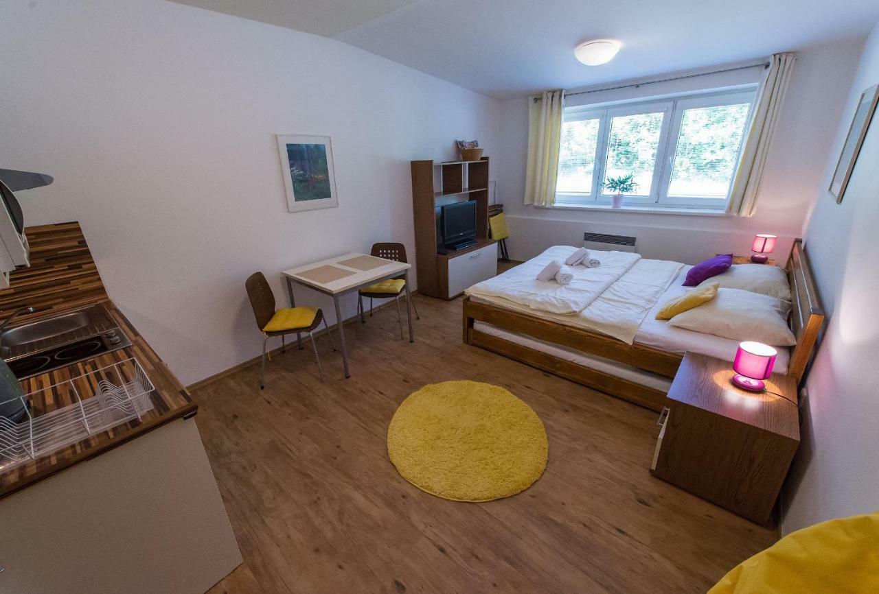 Apartmán Lipno 20 Lipno nad Vltavou Kültér fotó