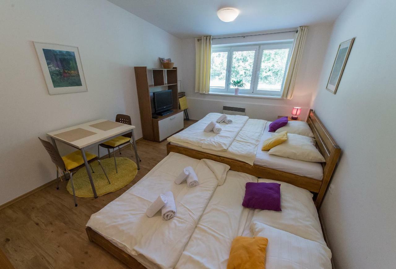 Apartmán Lipno 20 Lipno nad Vltavou Kültér fotó